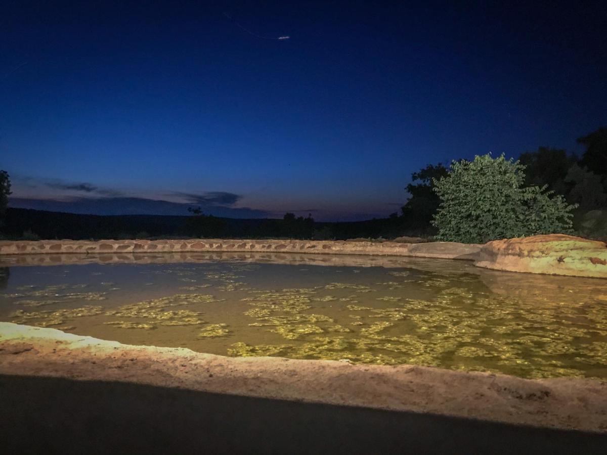 Laluka Safari Lodge - Welgevonden Vadrezervátum Kültér fotó