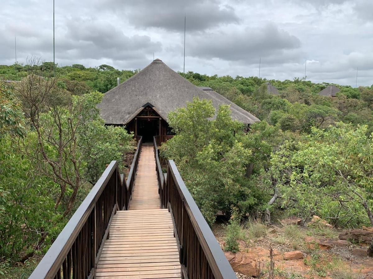 Laluka Safari Lodge - Welgevonden Vadrezervátum Kültér fotó